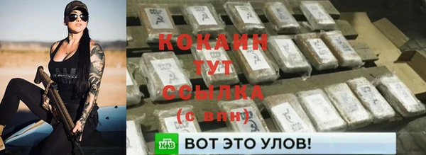 трава Бородино
