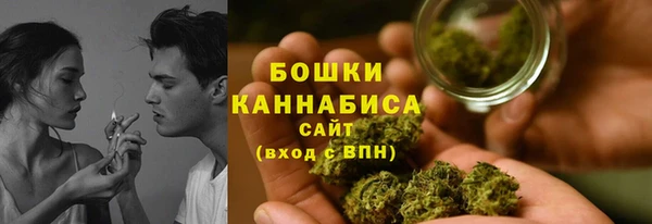 трава Бородино