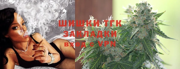 соль ск Новодвинск