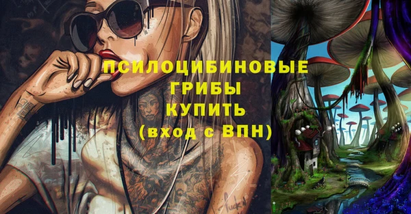 трава Бородино