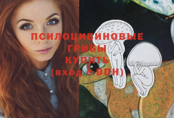 герыч Бугульма