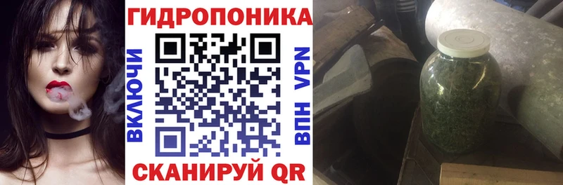 продажа наркотиков  Вилючинск  МЕГА ссылка  МАРИХУАНА Ganja 